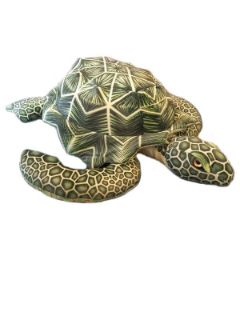 Obrázek z Želva mořská plyš 68cm (14) 